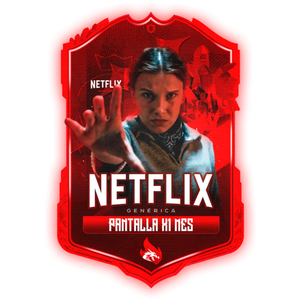 NETFLIX INTERNACIONAL PANTALLA